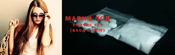 прущий лед Алзамай